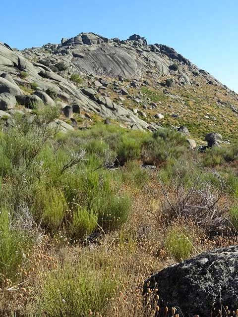 Baños de Montemayor, termas romanas